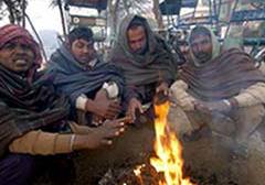 Cold wave continues to sweep Punjab, Haryana