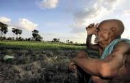 Maharashtra govt to look into “causes” forcing farmers to end lives