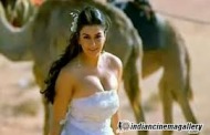 Hansika Motwane in leaked shower video?