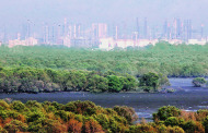 The Big Picture: Space-starved Mumbai set to get its largest land parcel ever