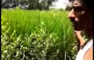 Modi cautions farmers over excessive use of fertilisers