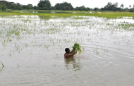 25 Die in Rain-Related Incidents in Rajasthan