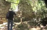 Ruins found in remote Argentinian jungle ‘may be secret Nazi hideout’