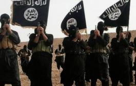 ISIS appeal much less in India: US security expert