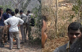 Twenty red-sandalwood smugglers shot dead in Andhra Pradesh’s Chittoor forest