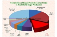 ‘India to remain major sugar producer’