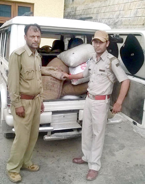 Banned medicinal herb seized, one arrested