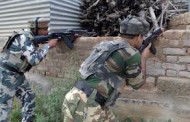 Militant killed in encounter in south Kashmir