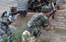 Militant killed in encounter in south Kashmir