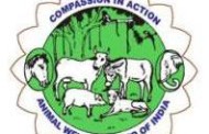 Animal Welfare Board terms notifications on vermins arbitrary